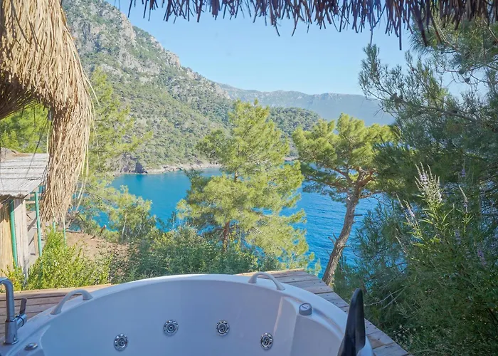 Ξενοδοχείο Flavia Faralya