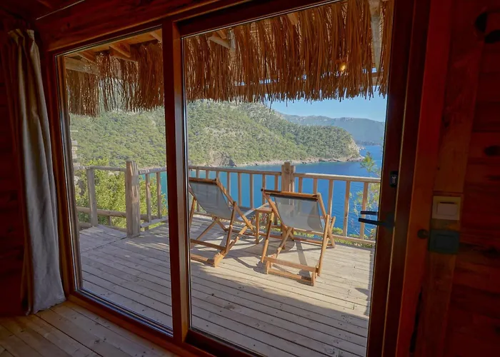 Flavia * ファラリア